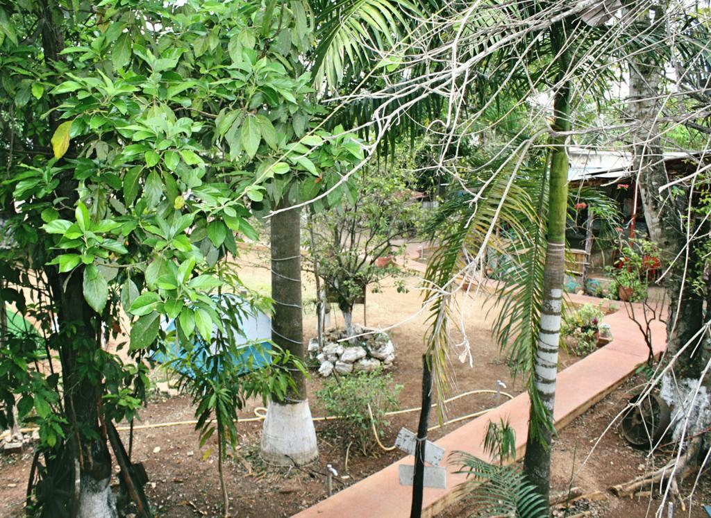 Yaxche Centro Hostal Y Camping Bacalar Exterior photo